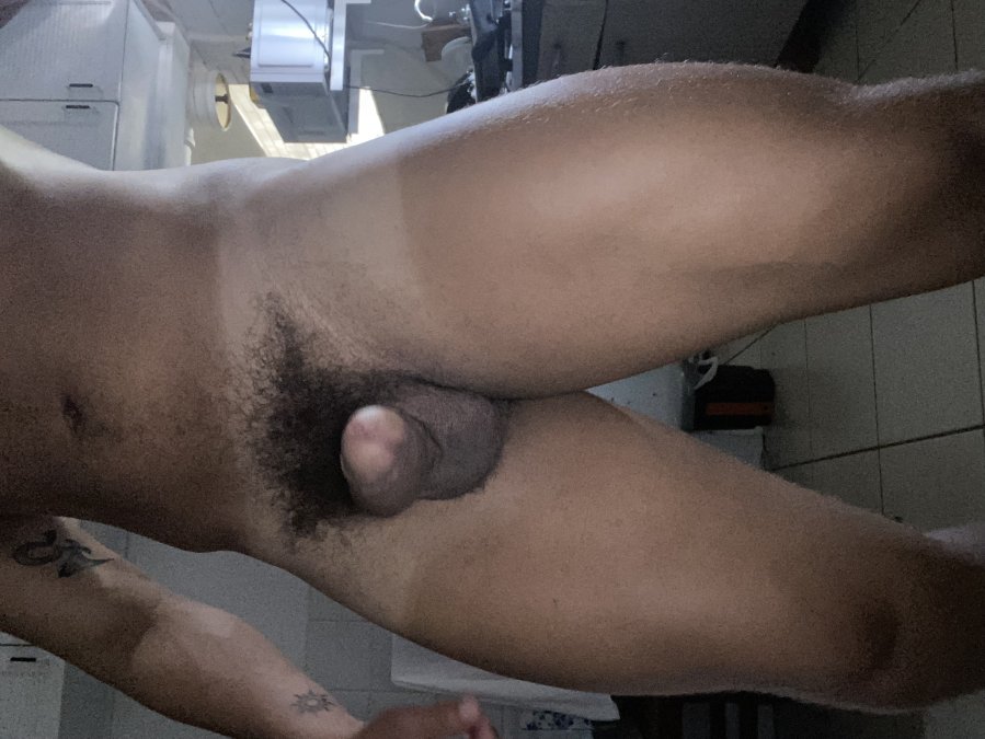 Cigano Gato 7