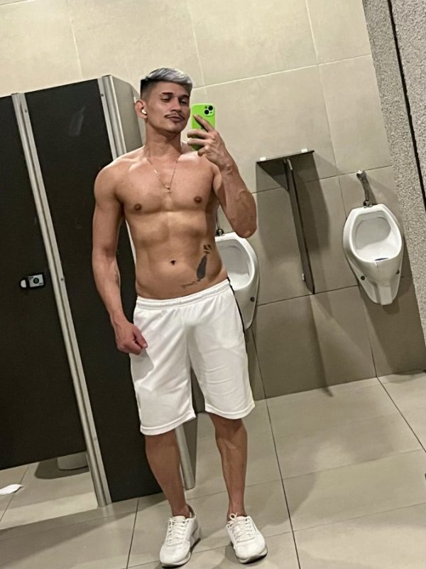 Araucária