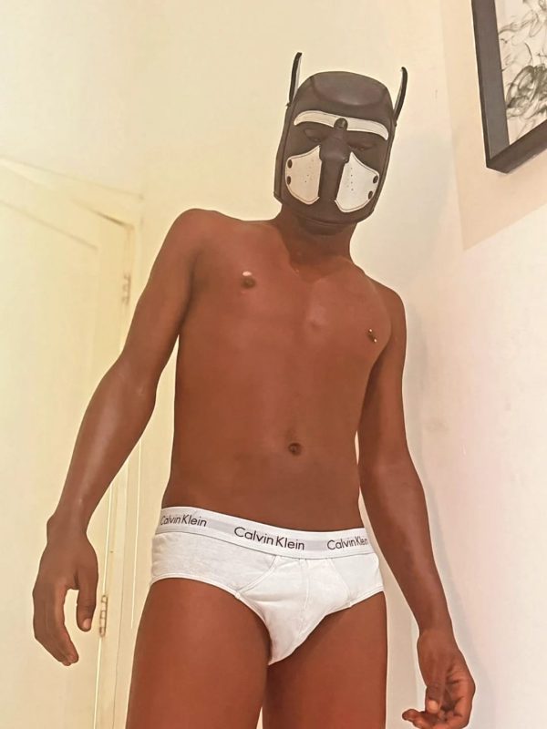Azulão 4