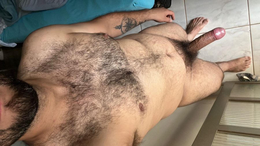 Parrudo Dotado