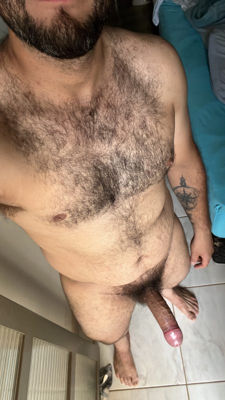 Parrudo Dotado 17