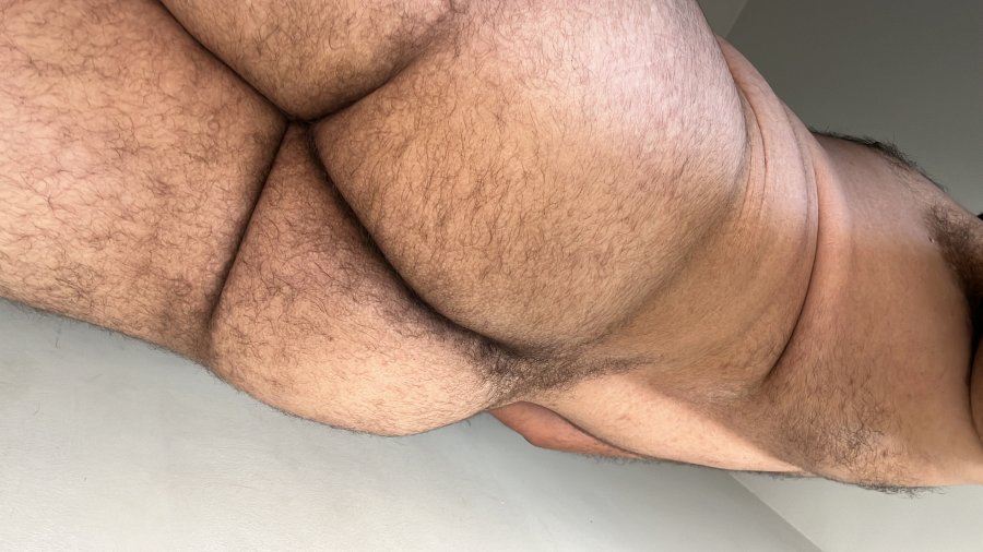 Parrudo Dotado 5