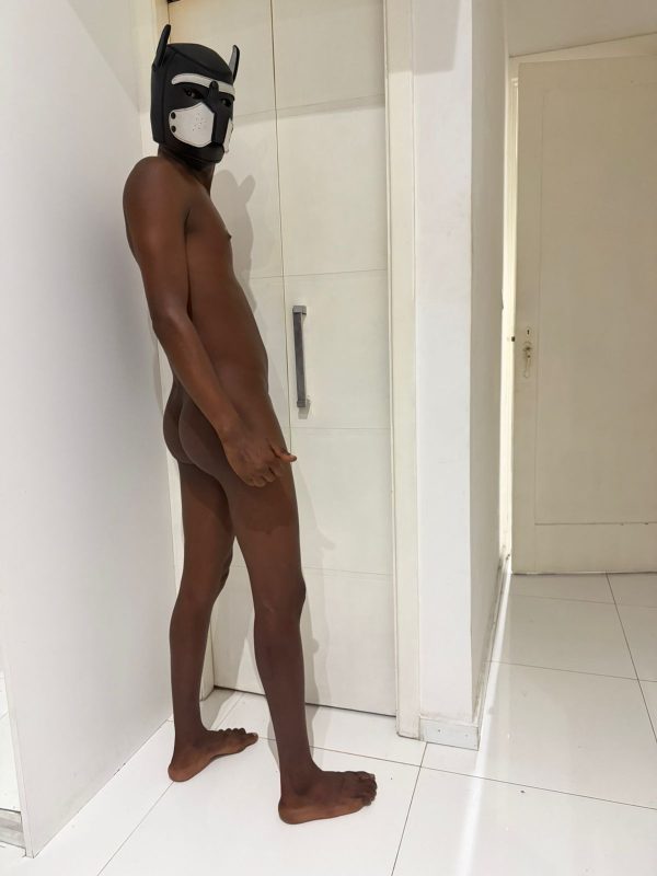 Azulão 3