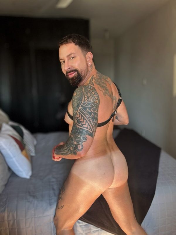 Mat Lion 4