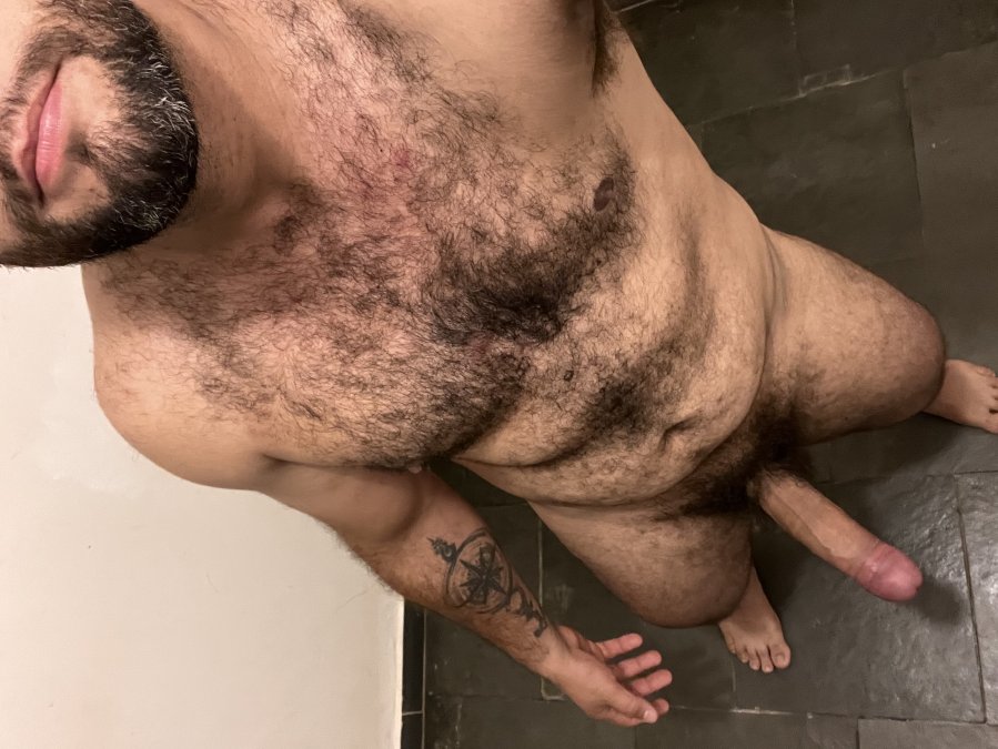 Parrudo Dotado 3