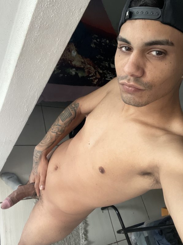 Novinho Dotado 3