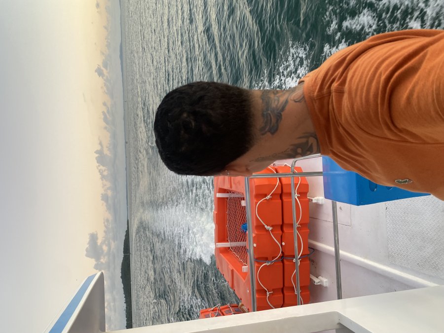 Allanzinho Dotado 4