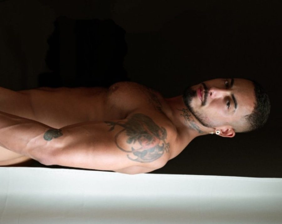 Bernardo Torres