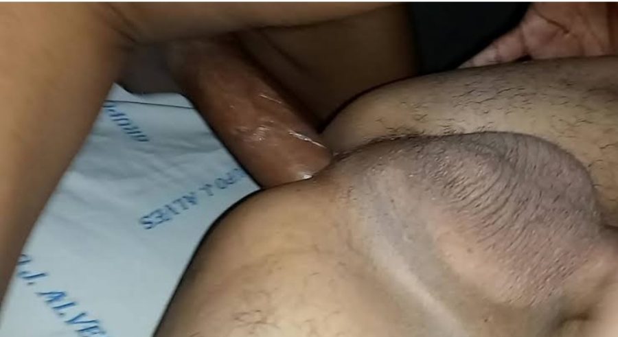 Novinho Ativo 48