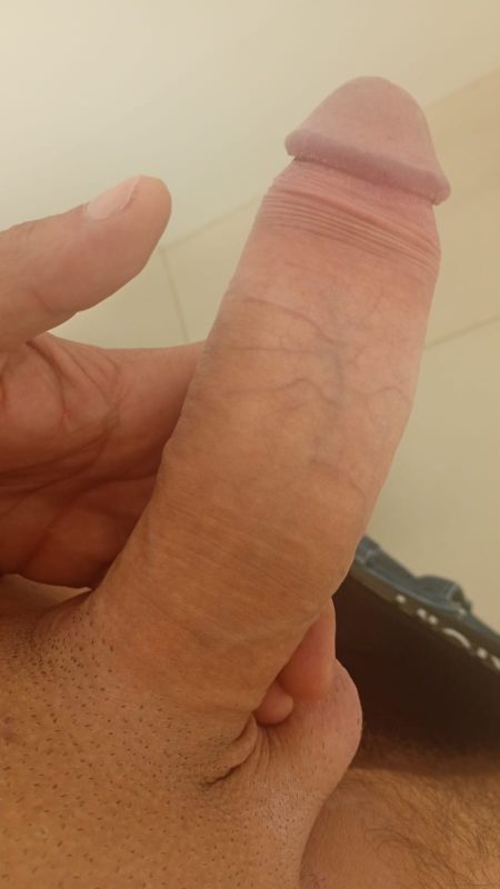 Bernardo 22CM 8