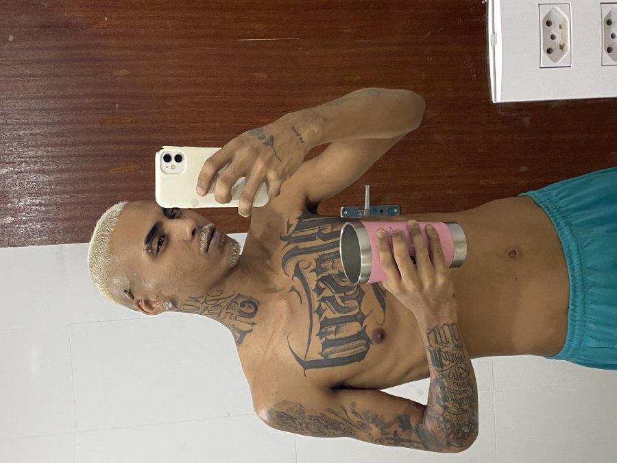 Mineiro Novinho Dot 6