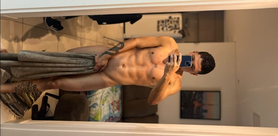 Novinho 20cm