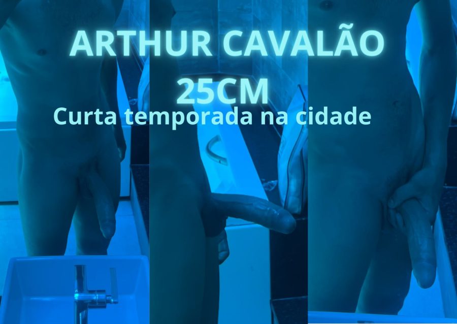 Arthur Cavalão 25cm 10