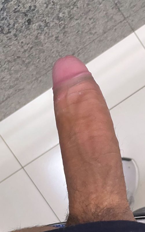Bernardo Dotado 24