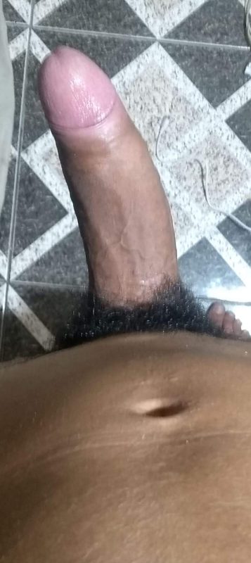 Novinho Dotado 23cm 15