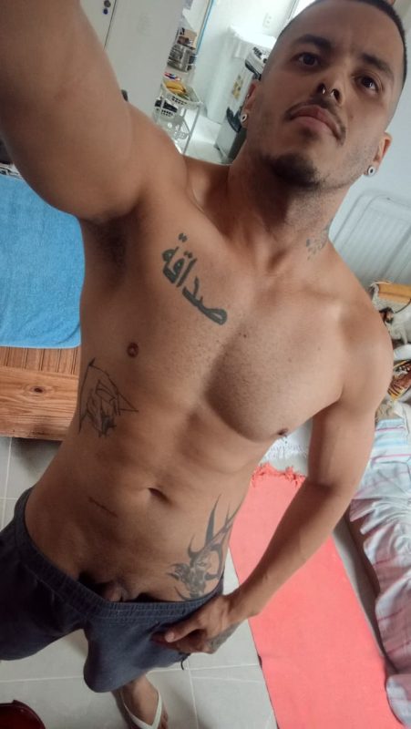 Matt Acompanhante 3