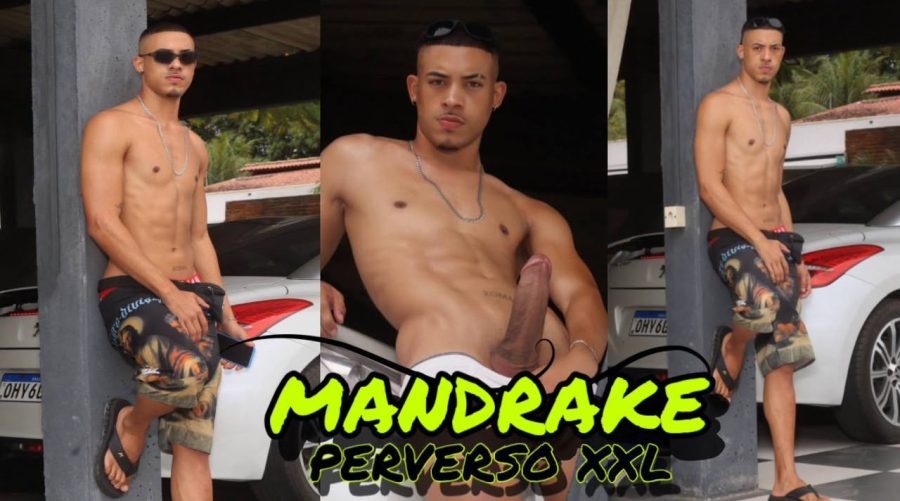 Mandrake Perverso