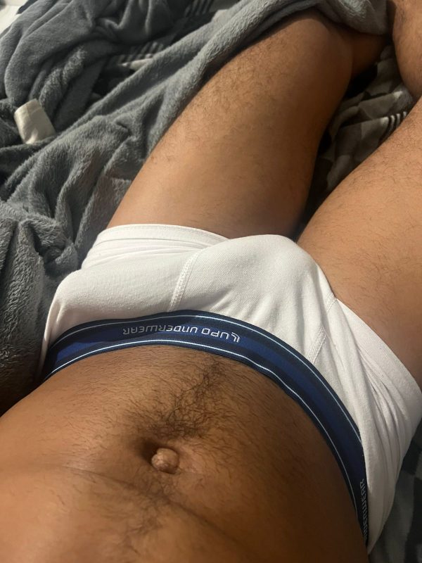 Novin Maloka 24