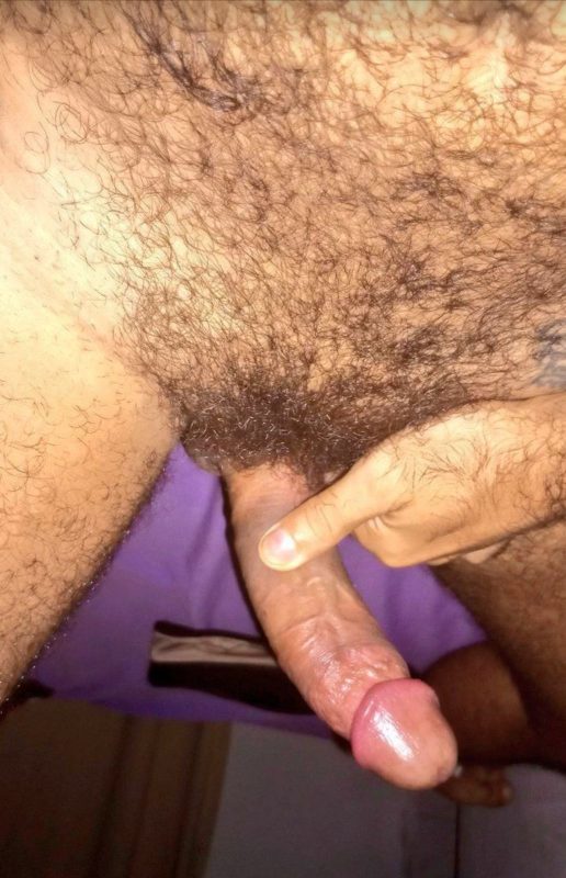 Peludo Safado 40