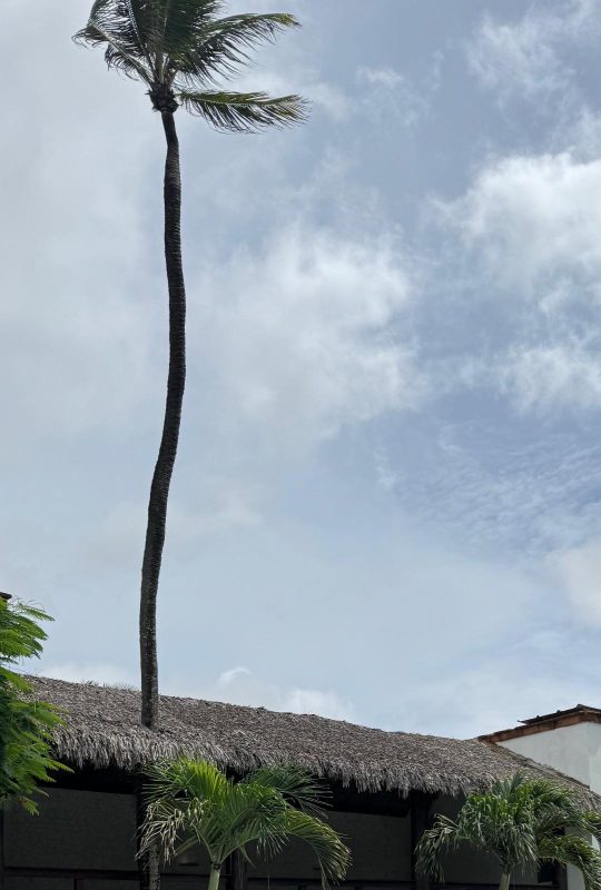 Fellipe Macedo