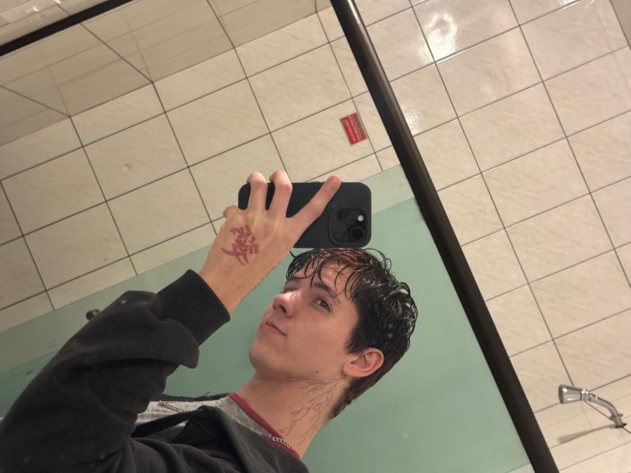 Gui Passivo 9