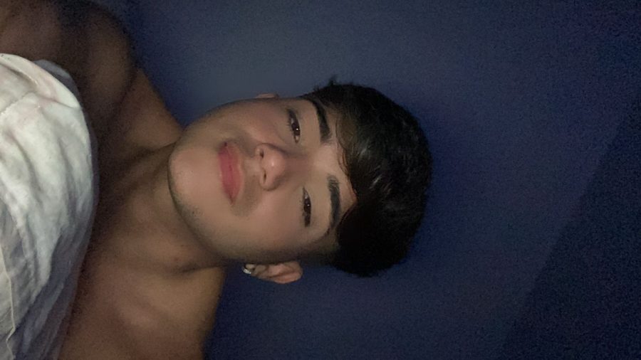 Íon Playboy
