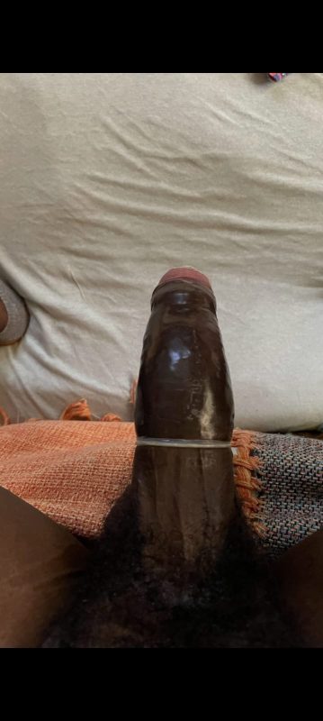 Haitiano Dotado 24cm