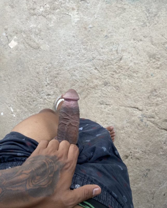 Novinho 21cm 3