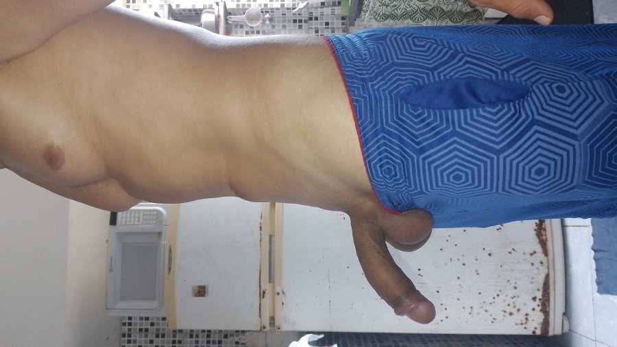 Gatão Surfista 4