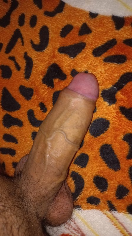 Gustavo Versátil 6