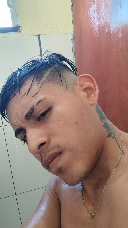 Novinho Kaceteiro 4