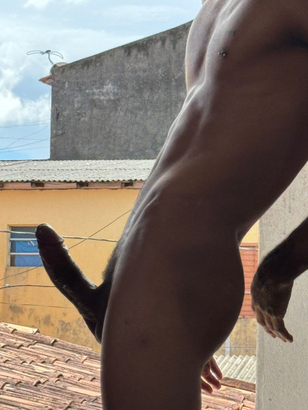 Gatto Pauzudo 10