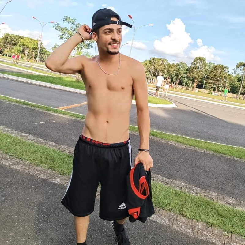 Araucária