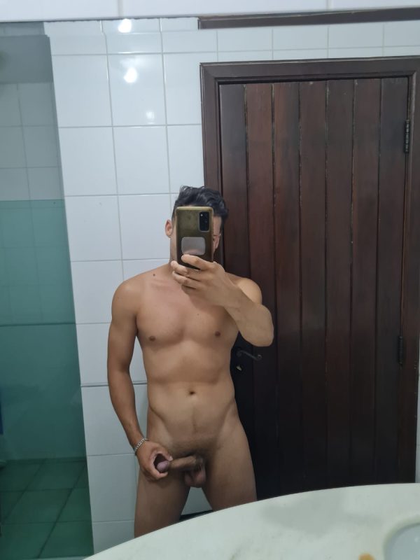 Araucária