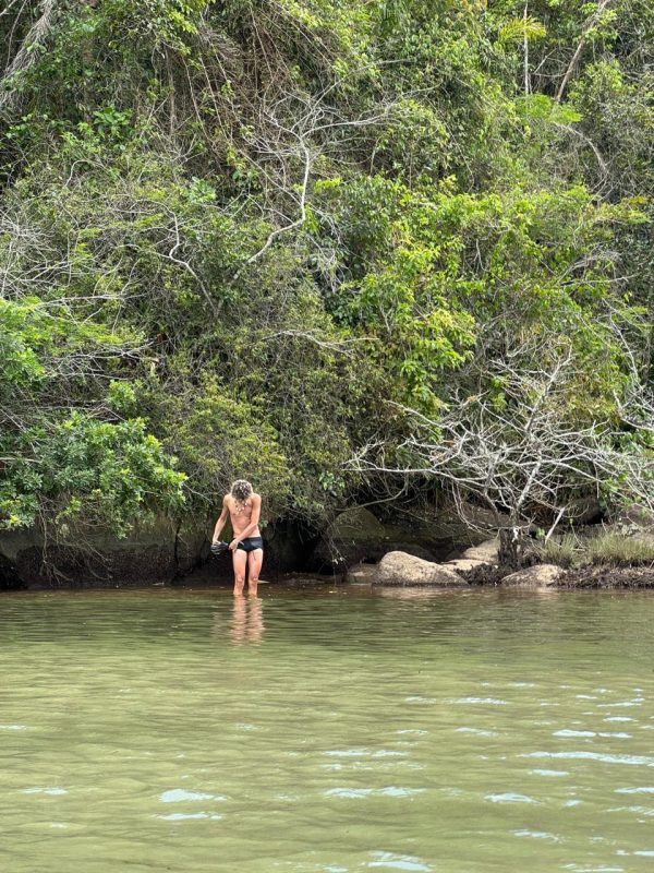 Dourado 16