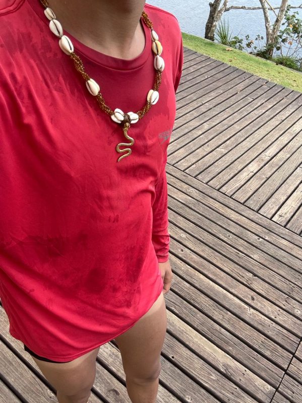 Dourado 8
