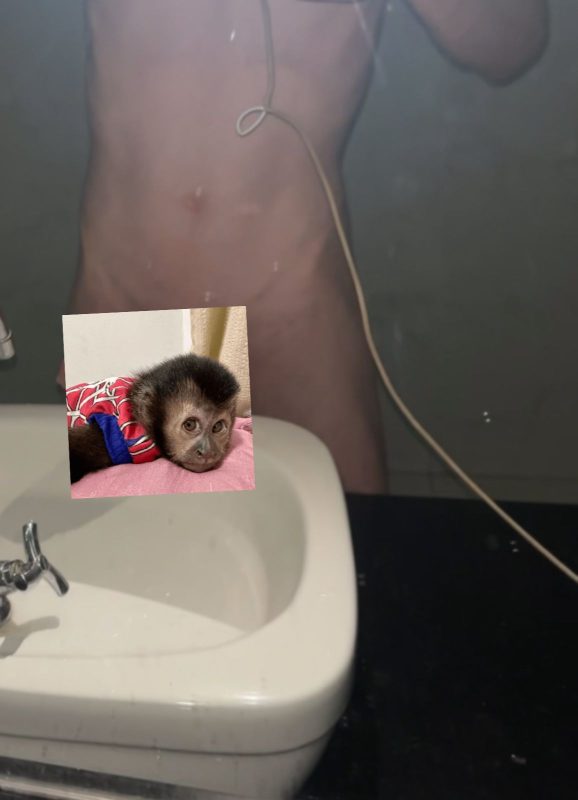 Novinho 23cm 6