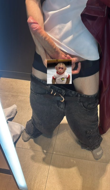 Novinho 23cm 5