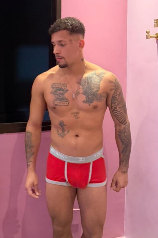 Boxeador gaúcho 4