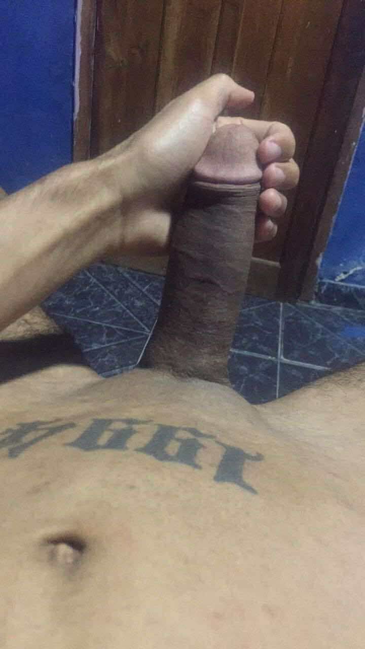 Alex Dotadão 4