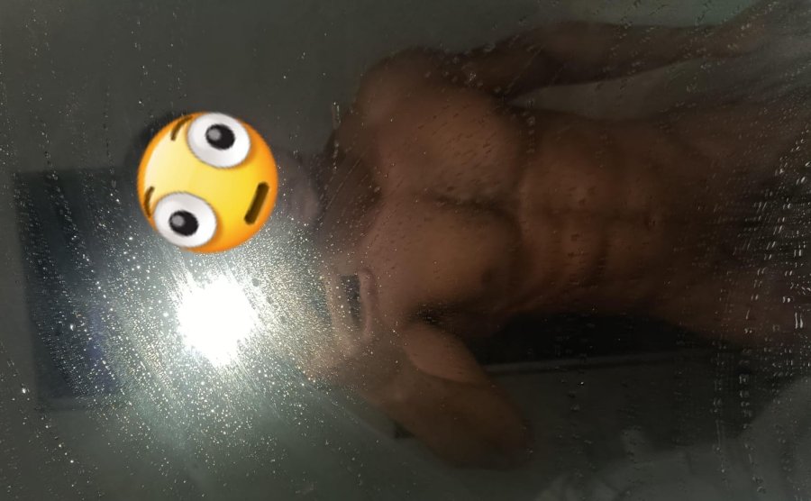 Novinho Sarado 1