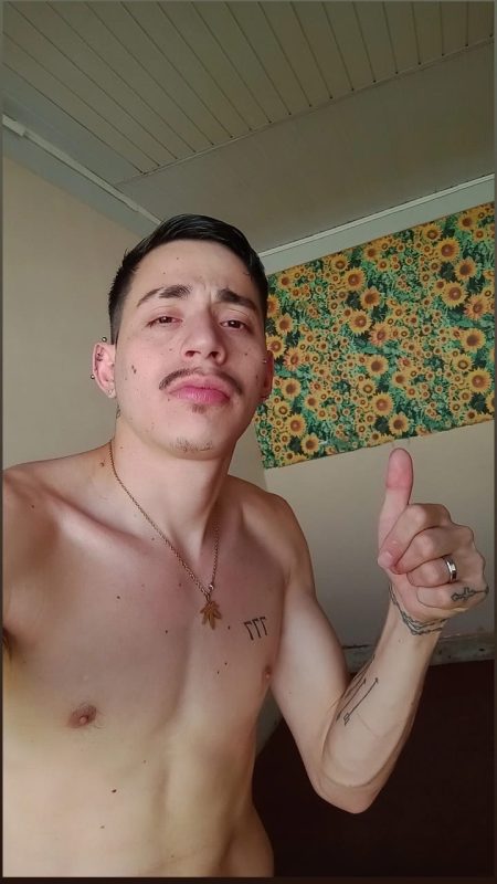 Gringo Safado 3