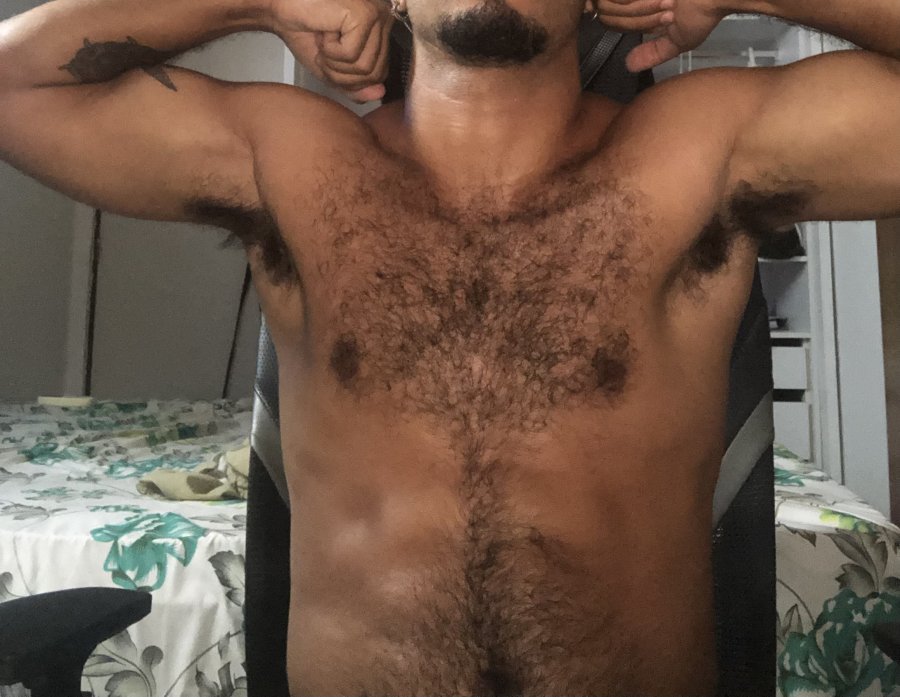 Mineiro Peludo 2