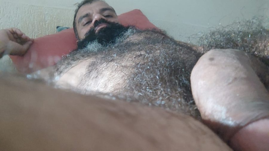Beliér Ytris 53