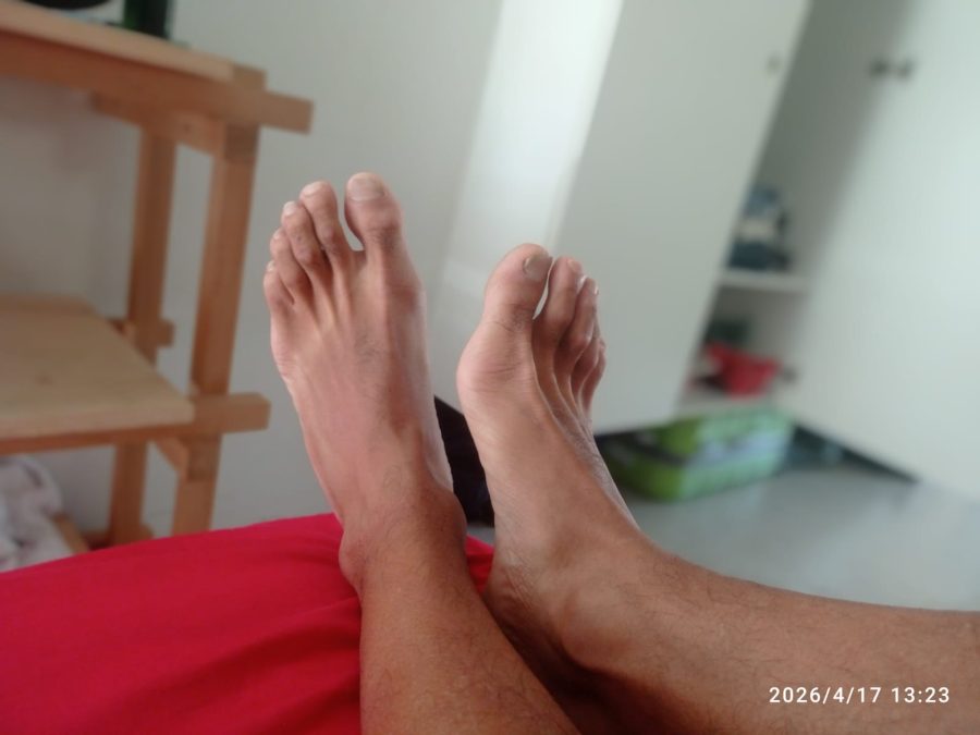 Beliér Ytris 26