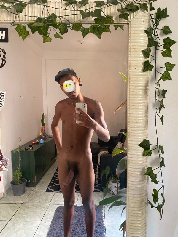 Novinho Dotadoo 3