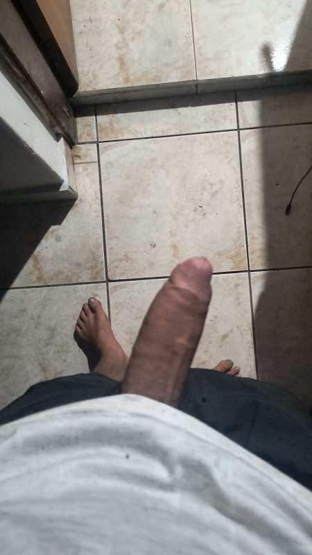 Lobo mal volgolobão 6