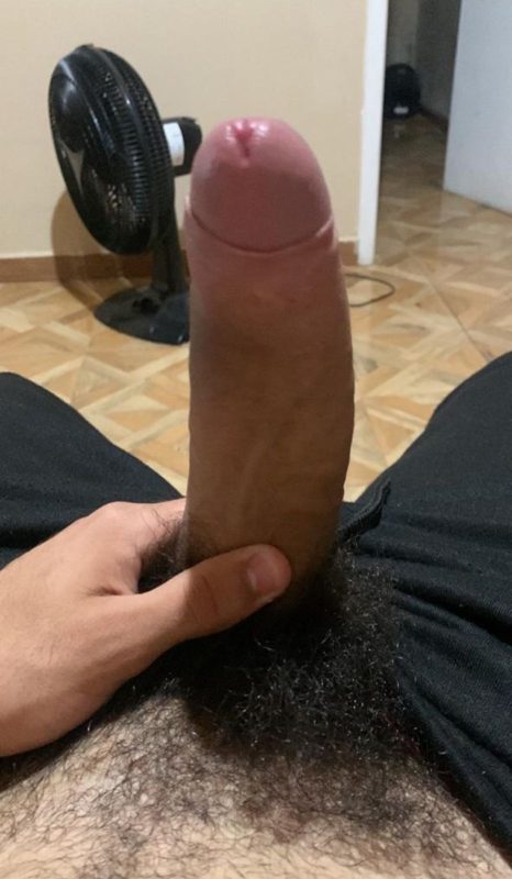Dotado 5