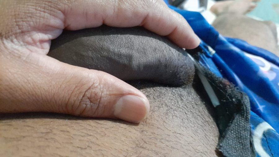 Domingos Pauzudo 8
