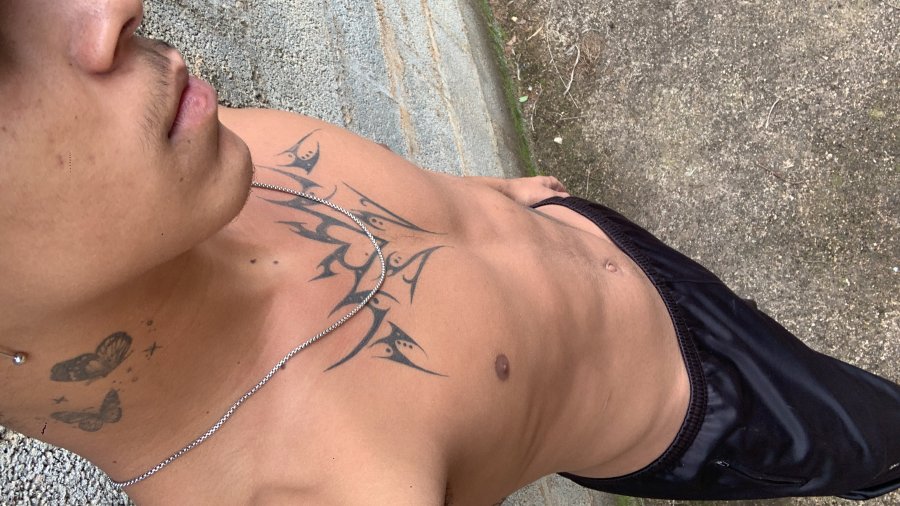 Novinho Cacheado 7